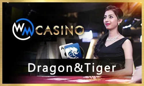 Gogojili Sports Betting